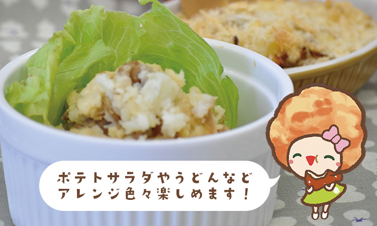 地どりめし以外にアレンジも簡単!